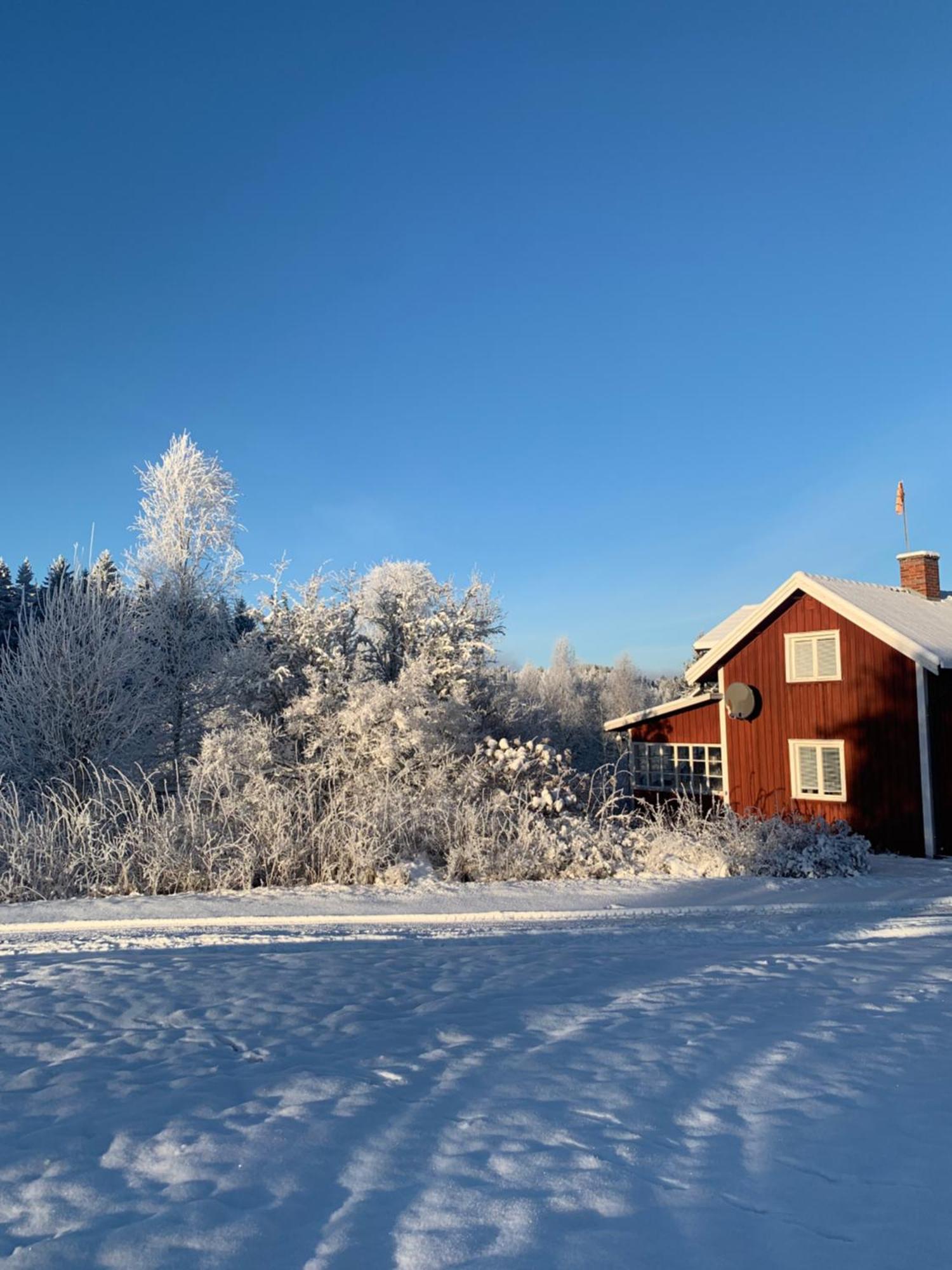 Warm Beheiztes Gemuetliches Haus In Der Natur Sunne Exterior foto